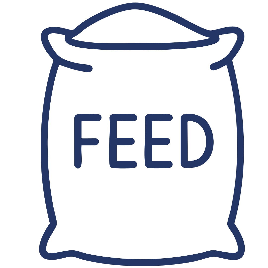 Animal Feed